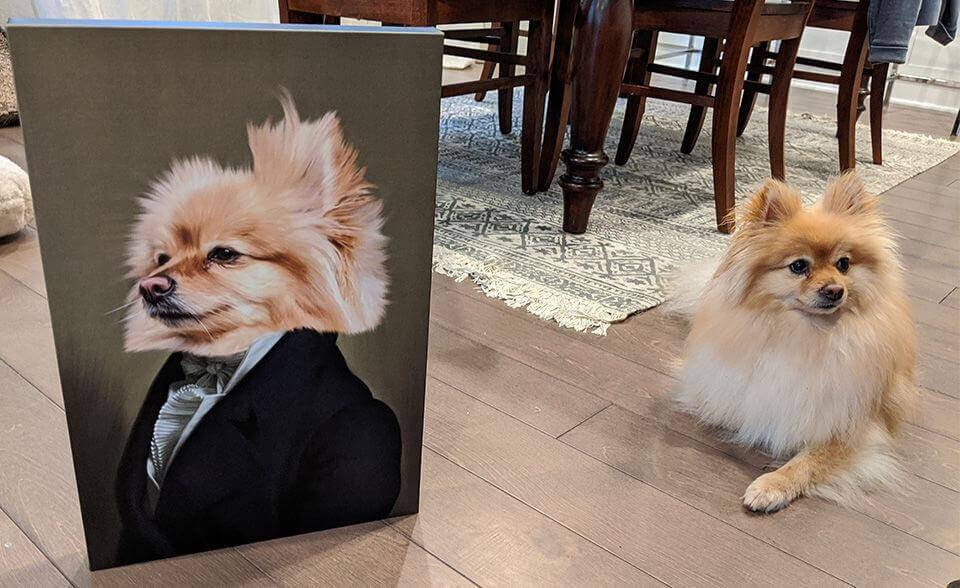 Le Député