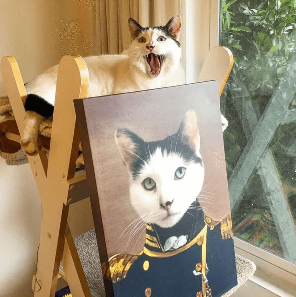 Le Commandant