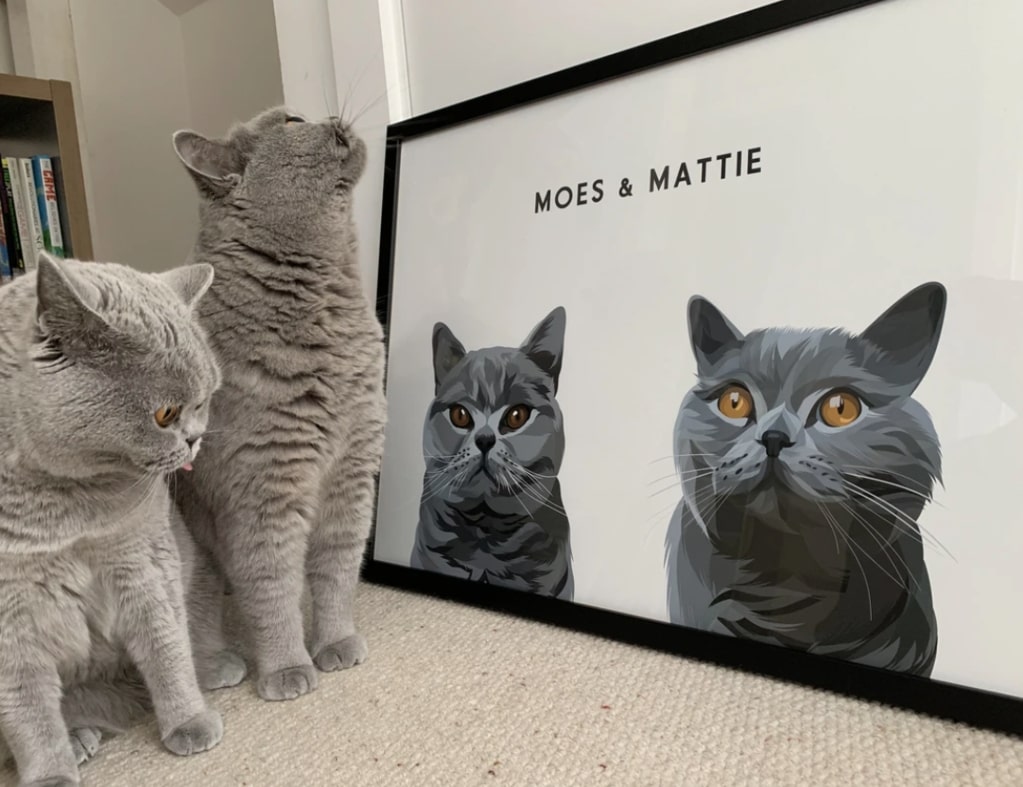 Portrait Simpliste - Duo
