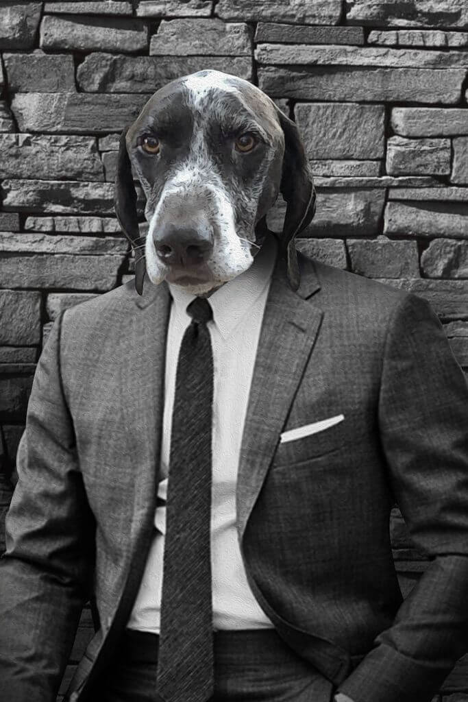Le Boss