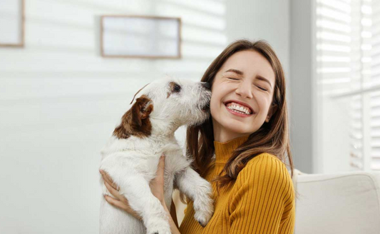 Caresser un chien : Comment le bien faire !