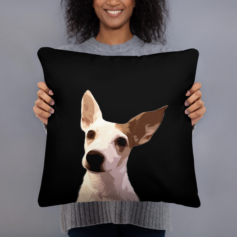 Coussin photo animaux -  France