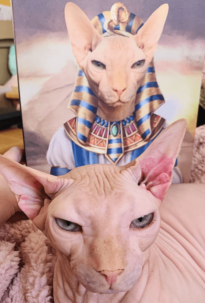 Le Pharaon